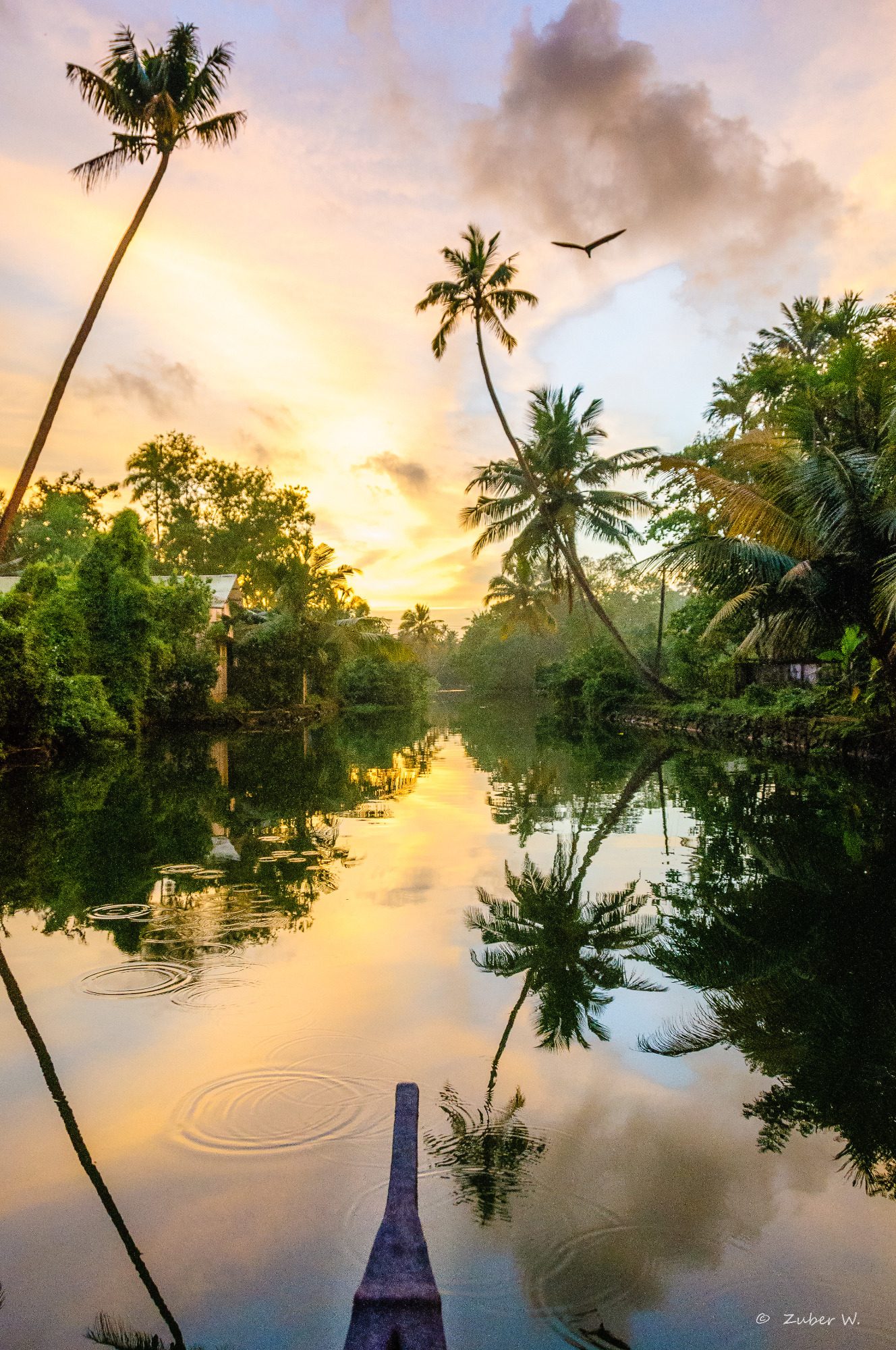 Backwater, Kerala, Indien