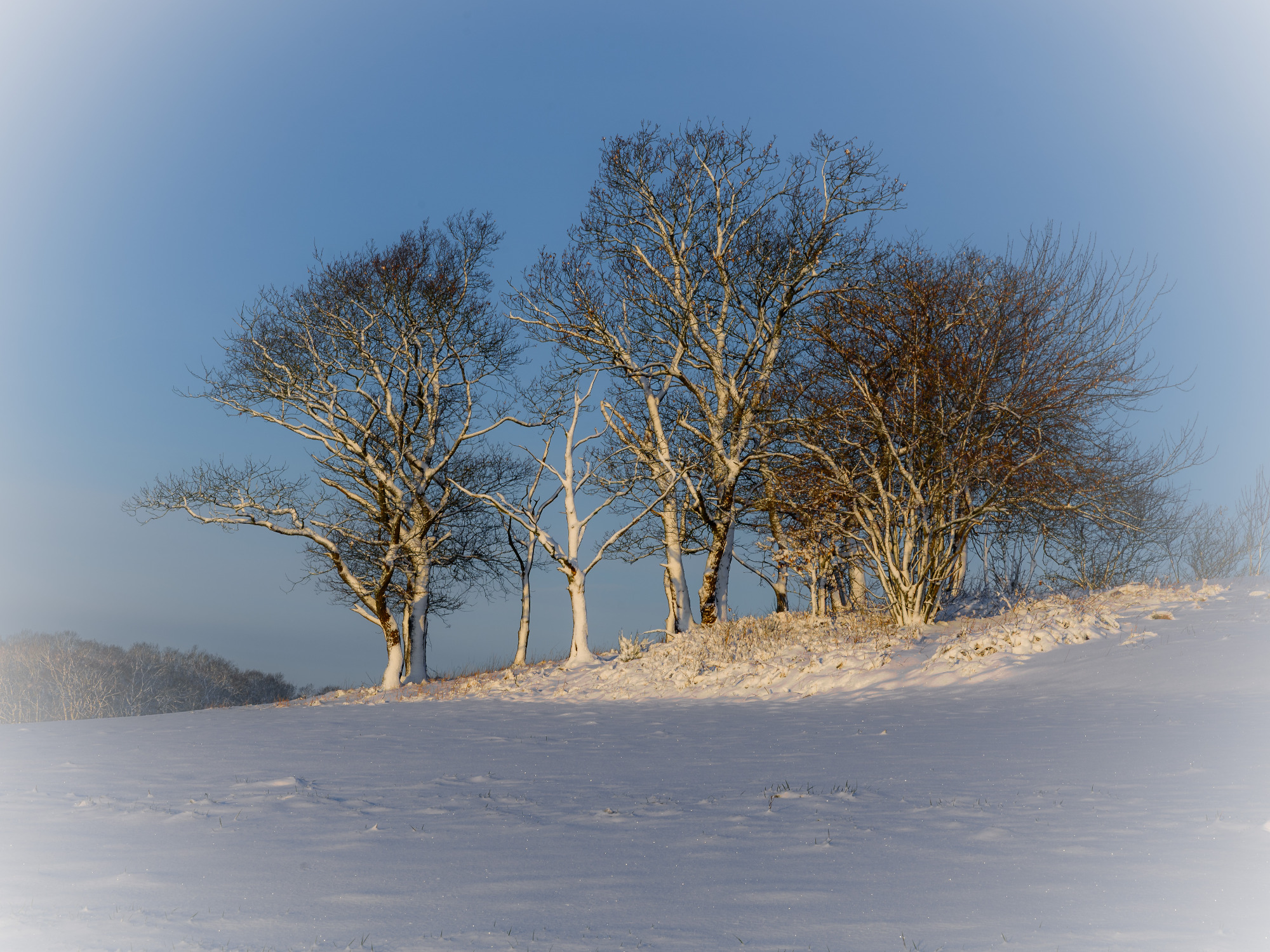Rheinbacher Winterimpressionen