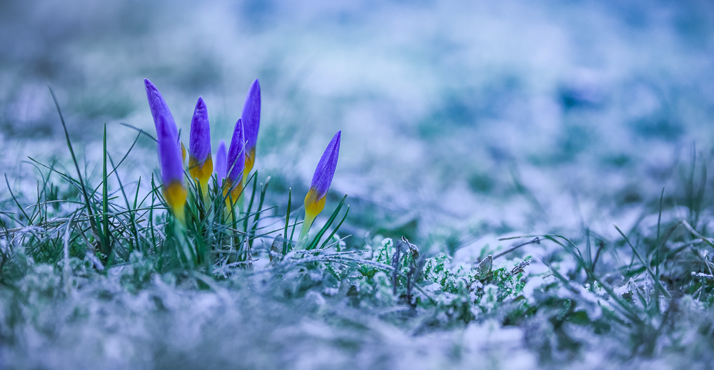 Winterliche Überraschung im April